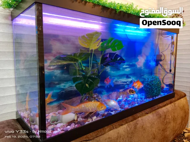 حوض سمك مميز  للبيع