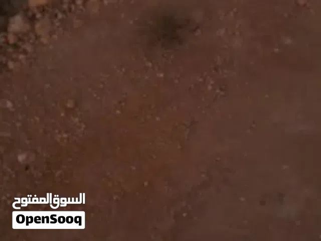 قطعة ارض الهواري  النور 2 مقابل الكمبواد