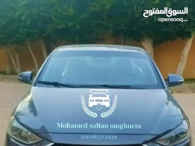 Hyundai Elantra 2019 in Alexandria