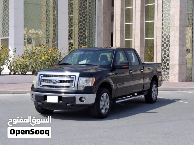 FORD F-150 MODEL 2013