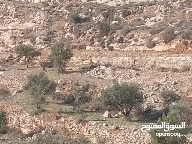 قطعة ارض للبيع