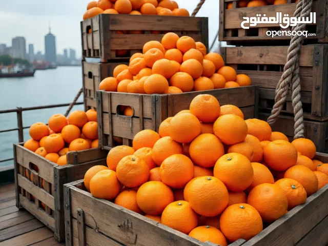 شركة زيد لينك لشحن و تصدير الحاصلات الزراعية