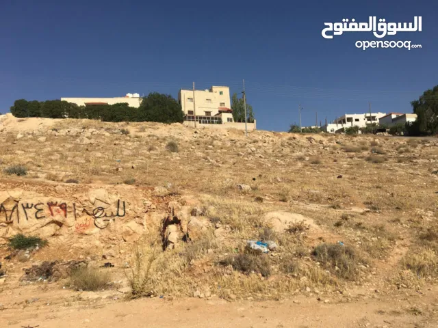 Residential Land for Sale in Zarqa Birayn