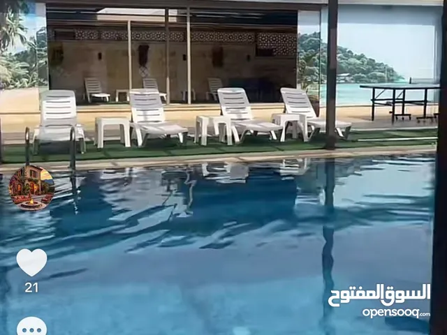 ابو وائل عليوي