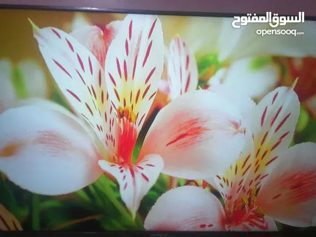 شاشه40 32 50 43سامسونج تايجر LGصلي بحاله الواكااالهLEDبسعر مغرى جدا