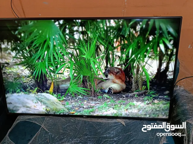 LG Smart 55 Inch TV in Cairo