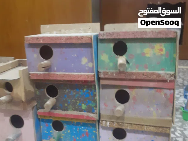 مستلزمات طيور مستعمله للبيع شلعه كامله بسعر مناسب