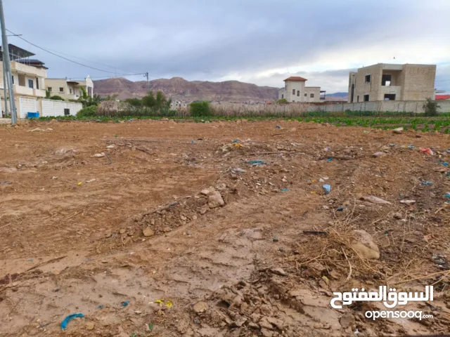 Residential Land for Sale in Jericho Palestine St.