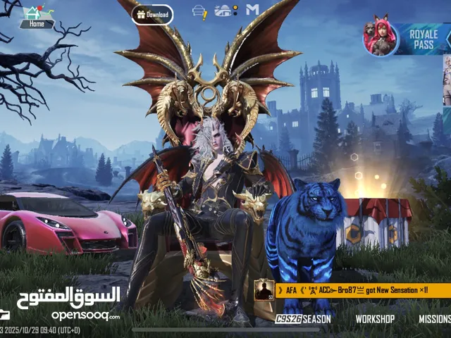 Pubg Accounts and Characters for Sale in Abu Dhabi
