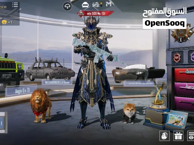 pubg best accounts for sale best price cheap price very very loo price