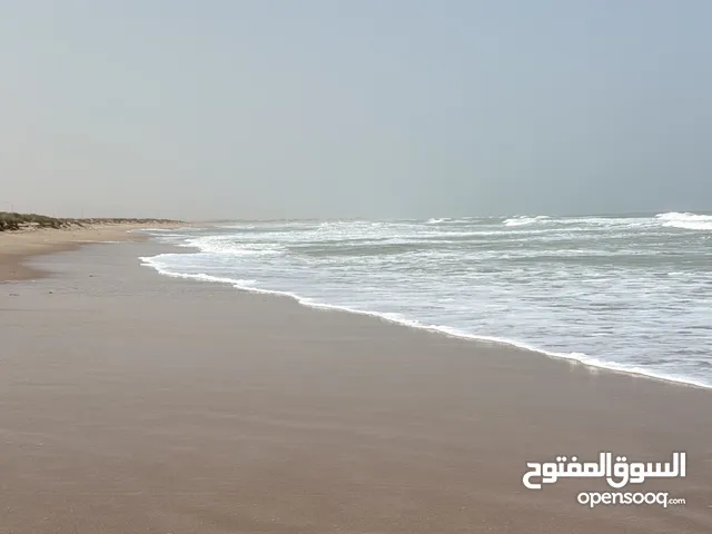 ملكيةقارب 23 قدم