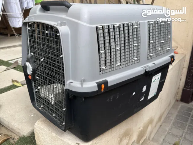 IATA-Approved Large Pet Travel Crate – Excellent Condition – AED 200 (Fixed)