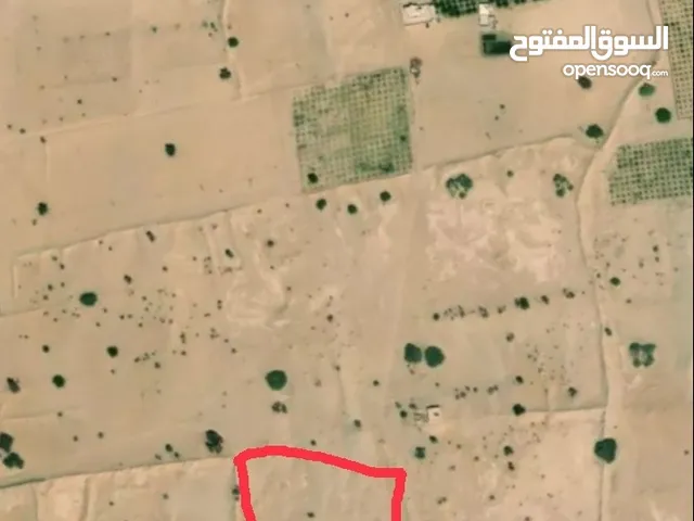 Farm Land for Sale in Ma'rib Al-Wadi