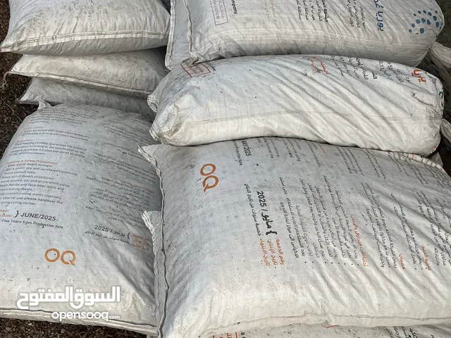 تمر نفيعه جواني يوريا كبار