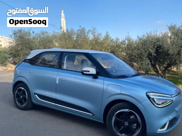 2026 Dongfeng Nammi Box