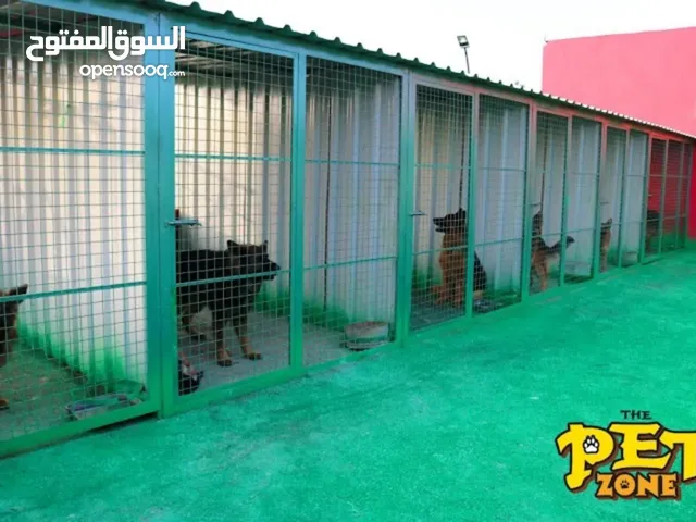 فنـــــــــــدق للكــــــــلاب
