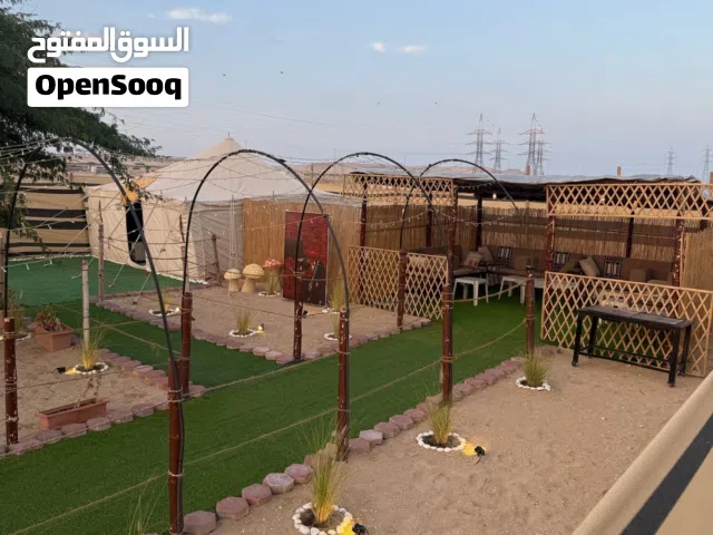 كشته بالصبيه اجار