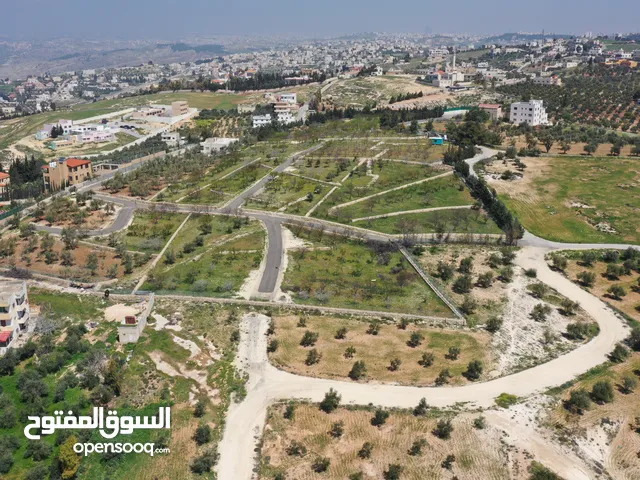 Residential Land for Sale in Amman Naour
