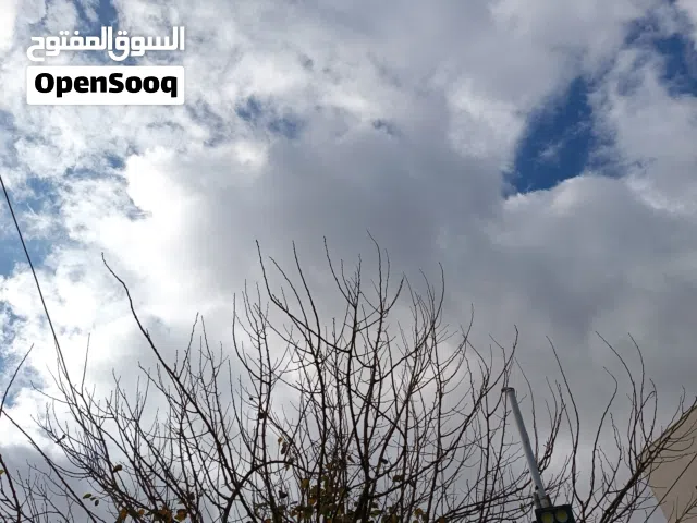 شقة للأيجار .. بشرط عائلة
