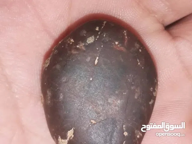 Others for sale in Agadir