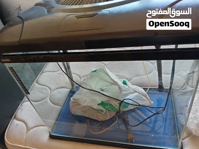 حوض سمك كبيره بحالي جديد استعمل خفيف جدن لالبع