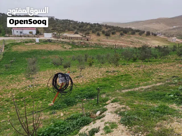 Farm Land for Sale in Mafraq Al-Marajim