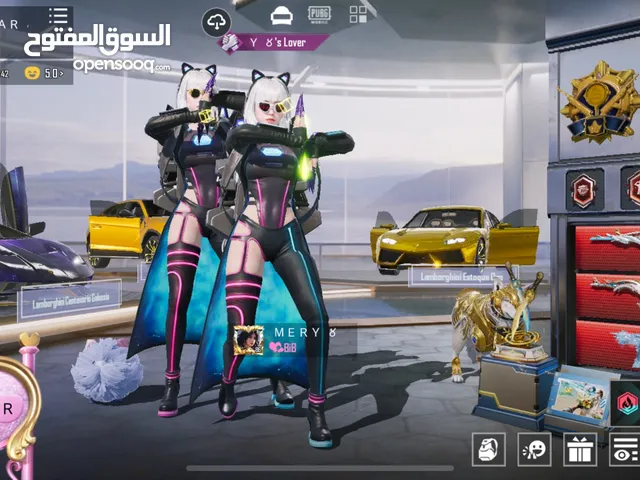 حساب ببجي ندر