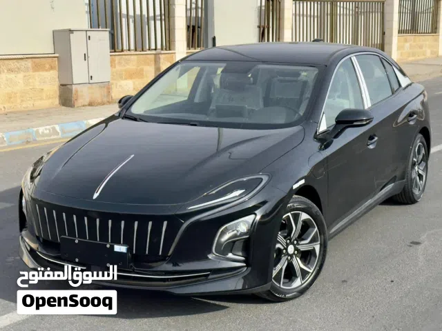 2022 Hongqi E-QM5 Standard
