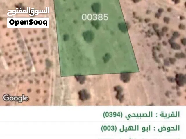 مزرعة سنديان