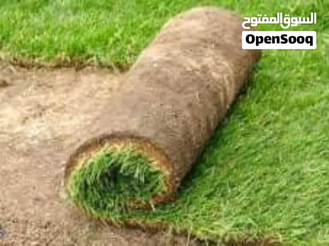 العشب الطبيعي الجوده العالية