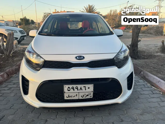 2020 كيا بيكانتو Standard