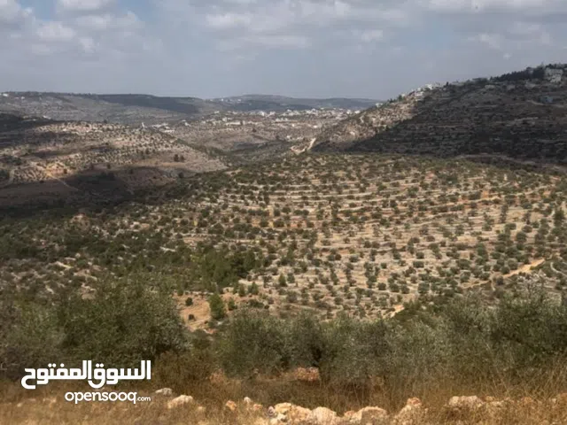 قطعتين ارض للبيع في منطقة خلابة قضاء رام اللّٰه من المالك مباشرة - بيع مستعجل بسبب السفر