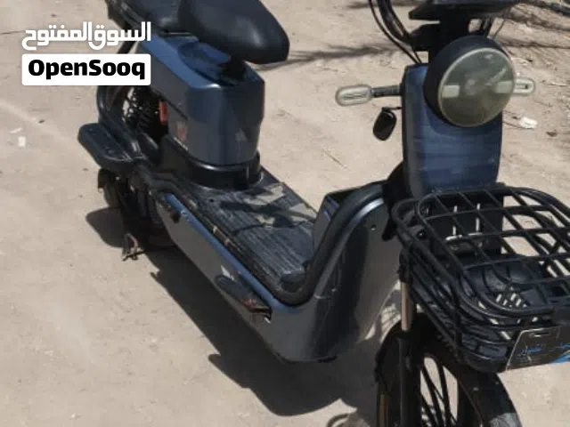 2024 اخرى اخرى