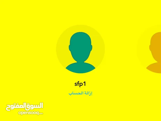 Social Media Accounts and Characters for Sale in Abu Dhabi