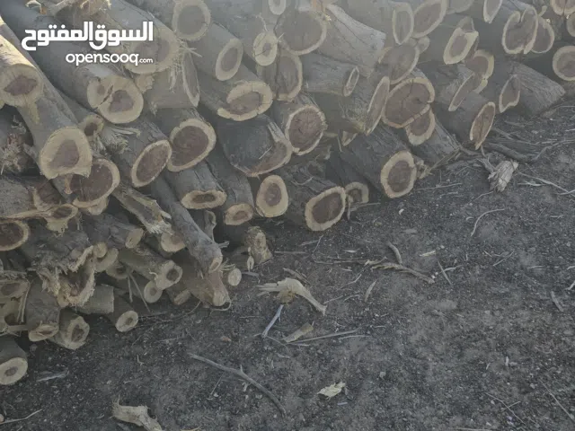 بيع حطب سمر مرتب ونظيف