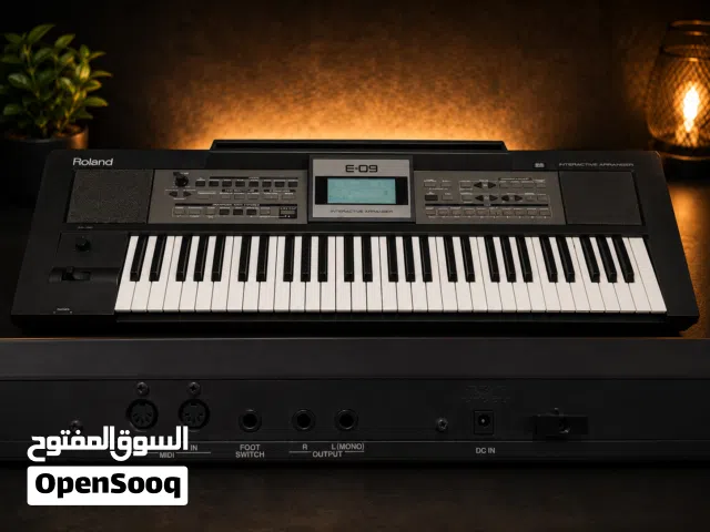 Roland E-09 Interactive Arranger Keyboard + Stand & Bag  Excellent Condition