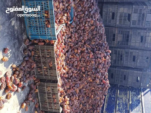 موجود تمر براره للحلال للبيع