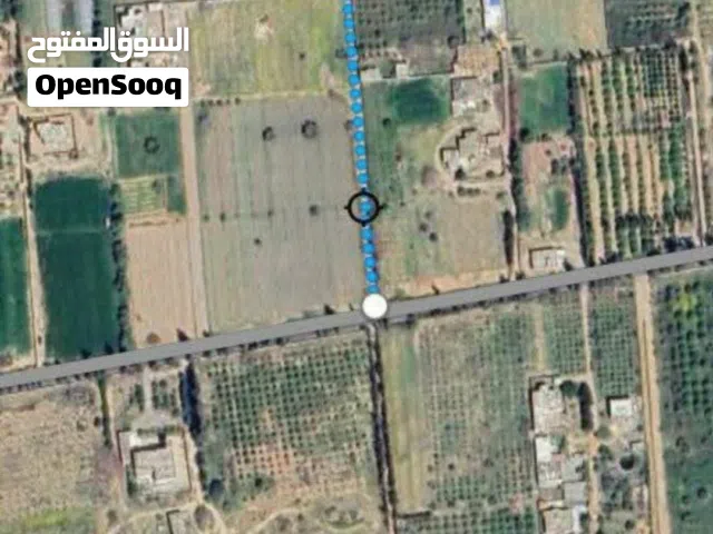 Farm Land for Sale in Zawiya Western Zawiya