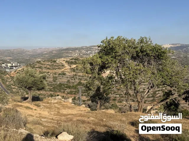 Mixed Use Land for Sale in Ramallah and Al-Bireh Qarawat Bani Zeid