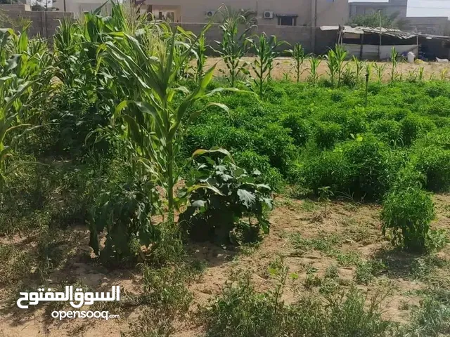 Residential Land for Sale in Tripoli Tajura