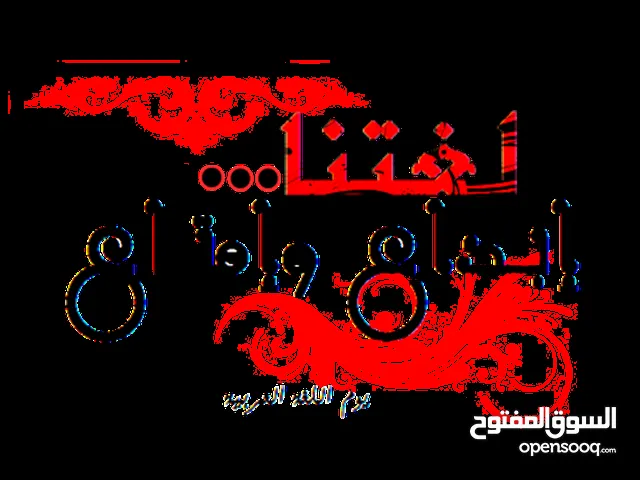 Arabic Teacher in Cairo