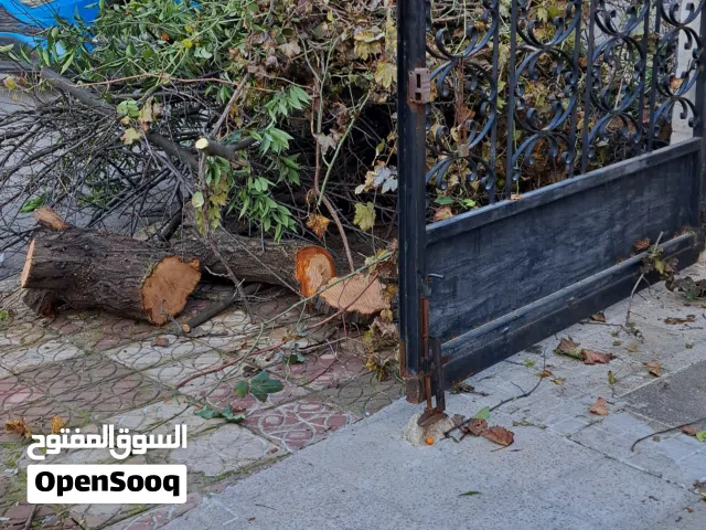 حطب مواقد مجانا