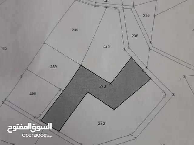 Farm Land for Rent in Jerash Borma