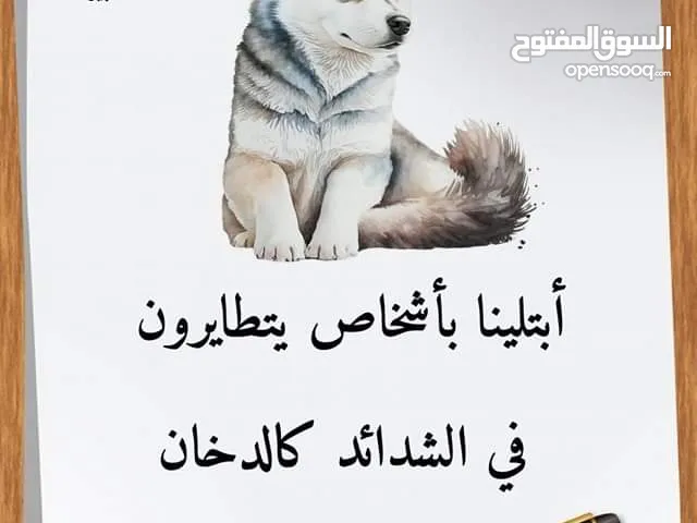 أبو جود