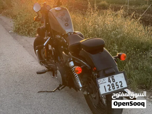Harley forty eight 2014
