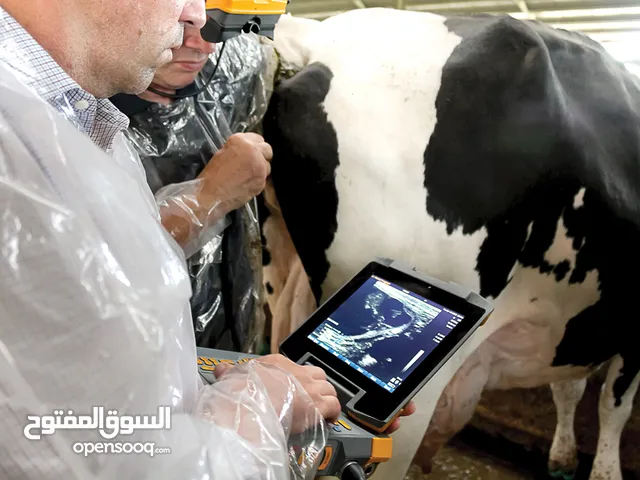 فحص الحمل بجهاز السونار (الأشعة التلفزيونية) للهوش والابقار والبوش