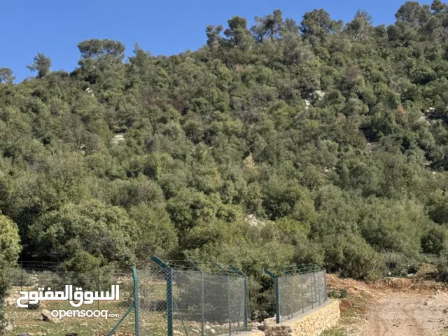 ارض مساحتها 1800 متر داخل غابة عجلون تصلح ل بناء شالية