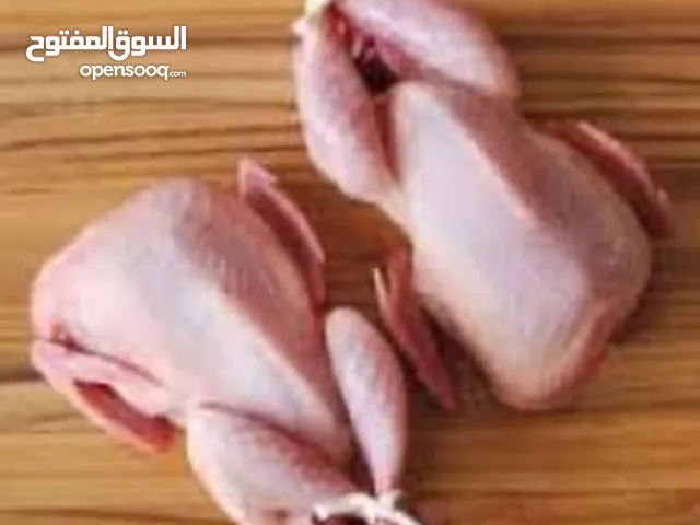 زغاليل حمام لاحم فرنسي الاحجام جامبو
