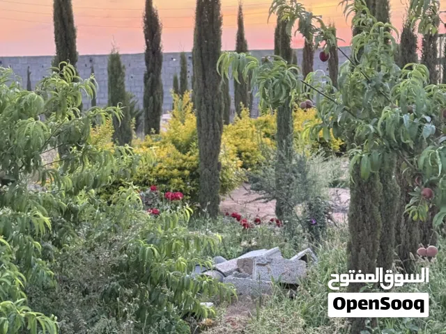 ستراحه او منزل في طريق الحنش بسعر حرق