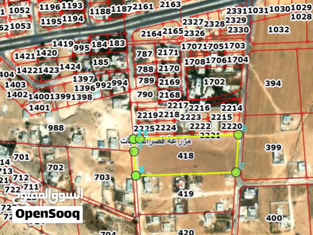 Farm Land for Sale in Zarqa Dhlail